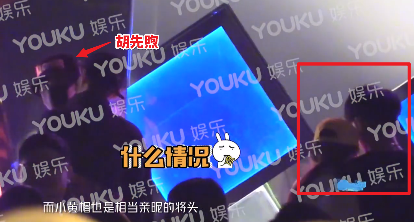 胡先煦