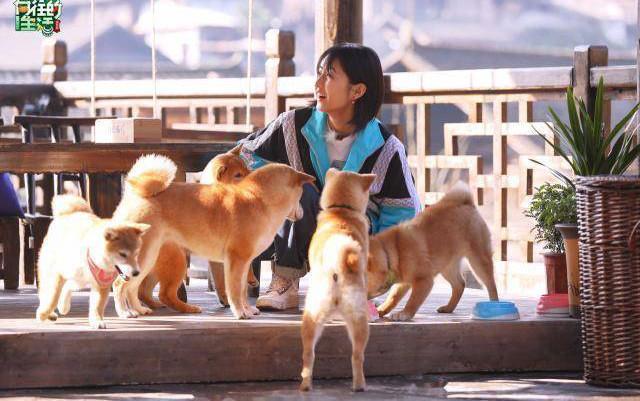 張子楓