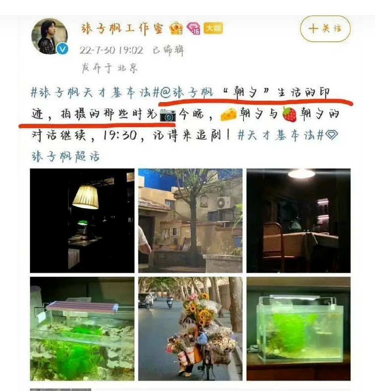 張子楓