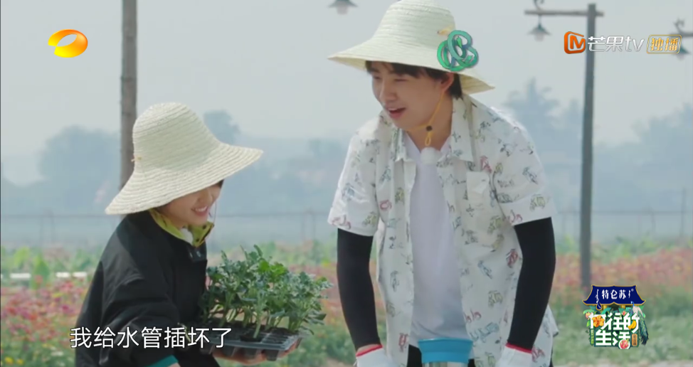 張子楓