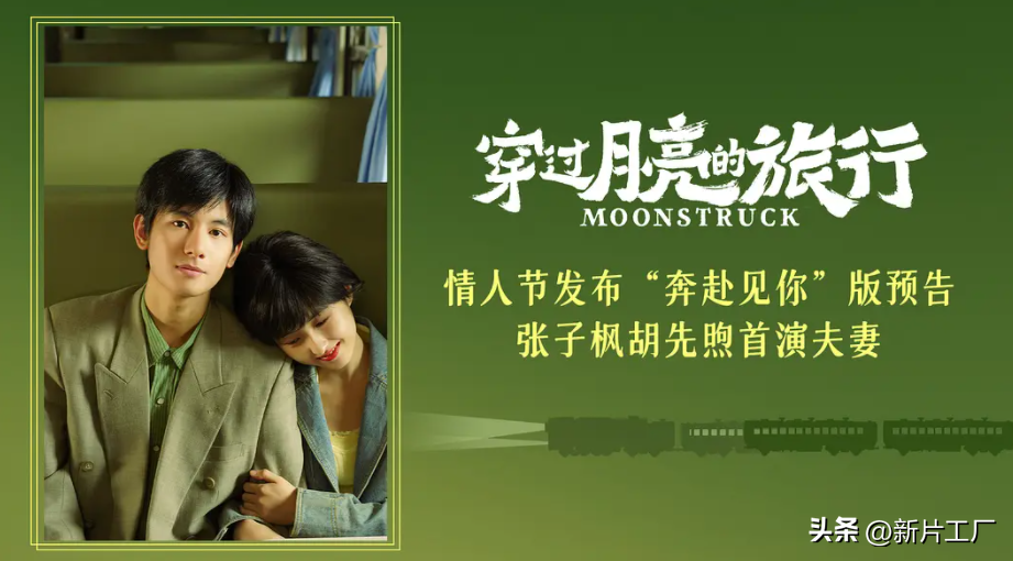 張子楓