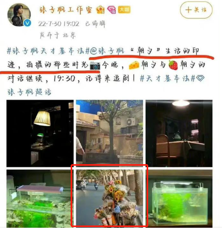 張子楓