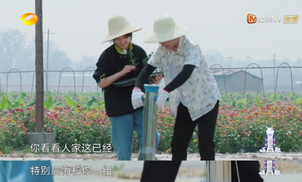 張子楓