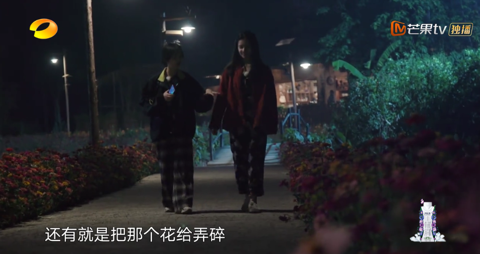 張子楓