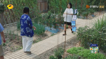 張子楓