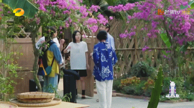 張子楓