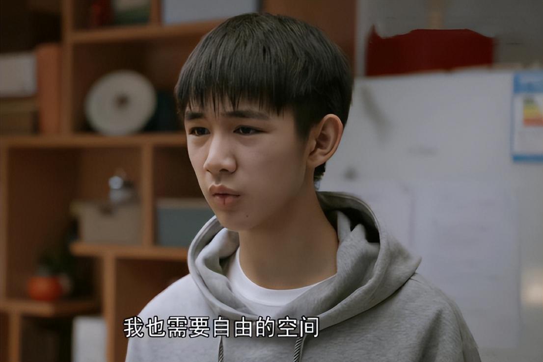 胡先煦
