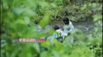 張子楓