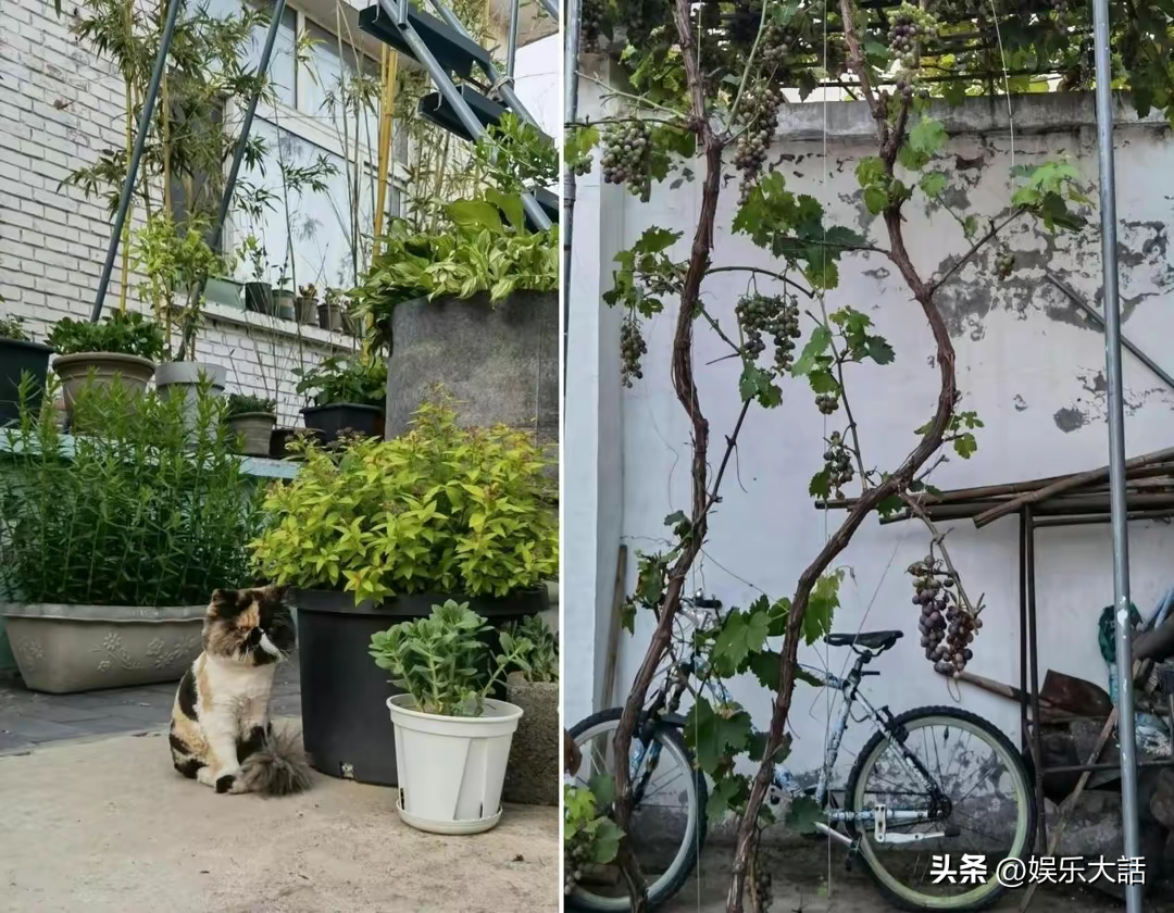 張頌文