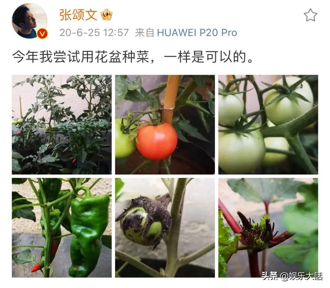 張頌文