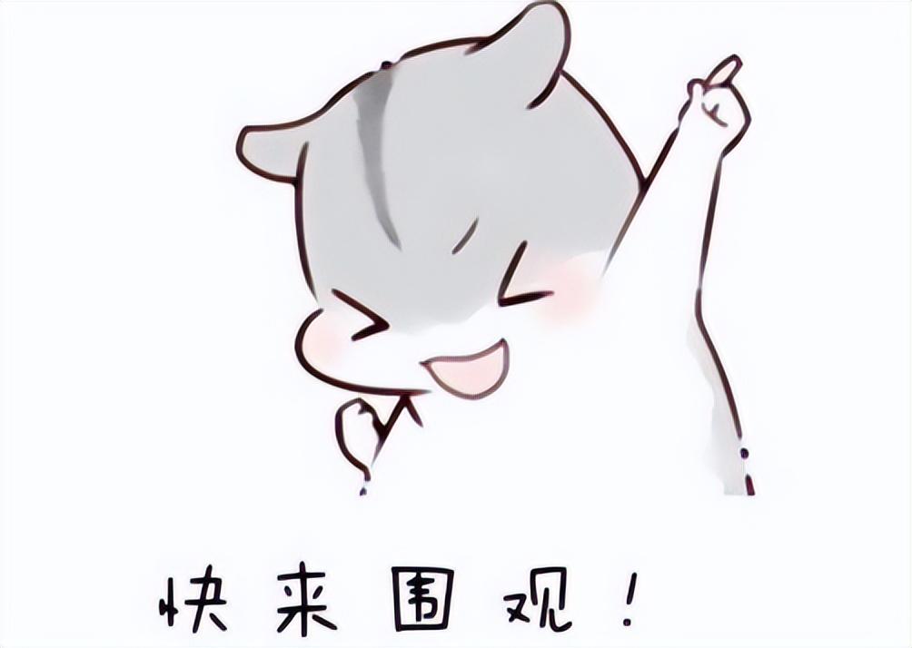 馬伊琍