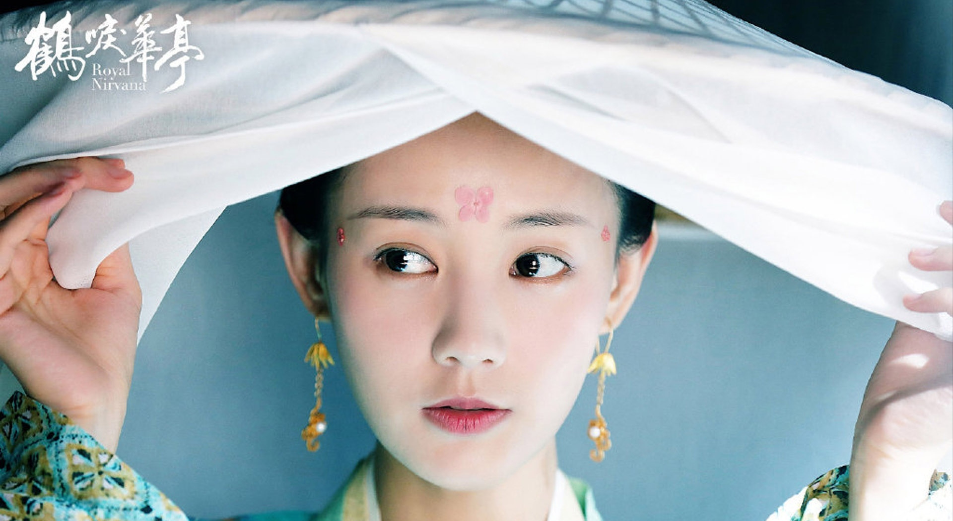 李一桐