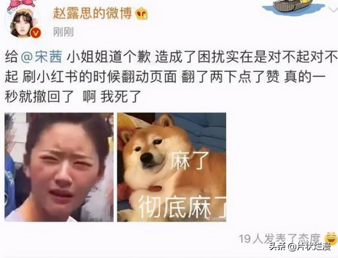 趙露思