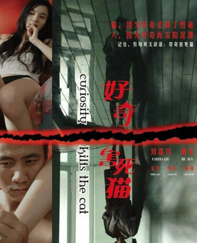宋佳