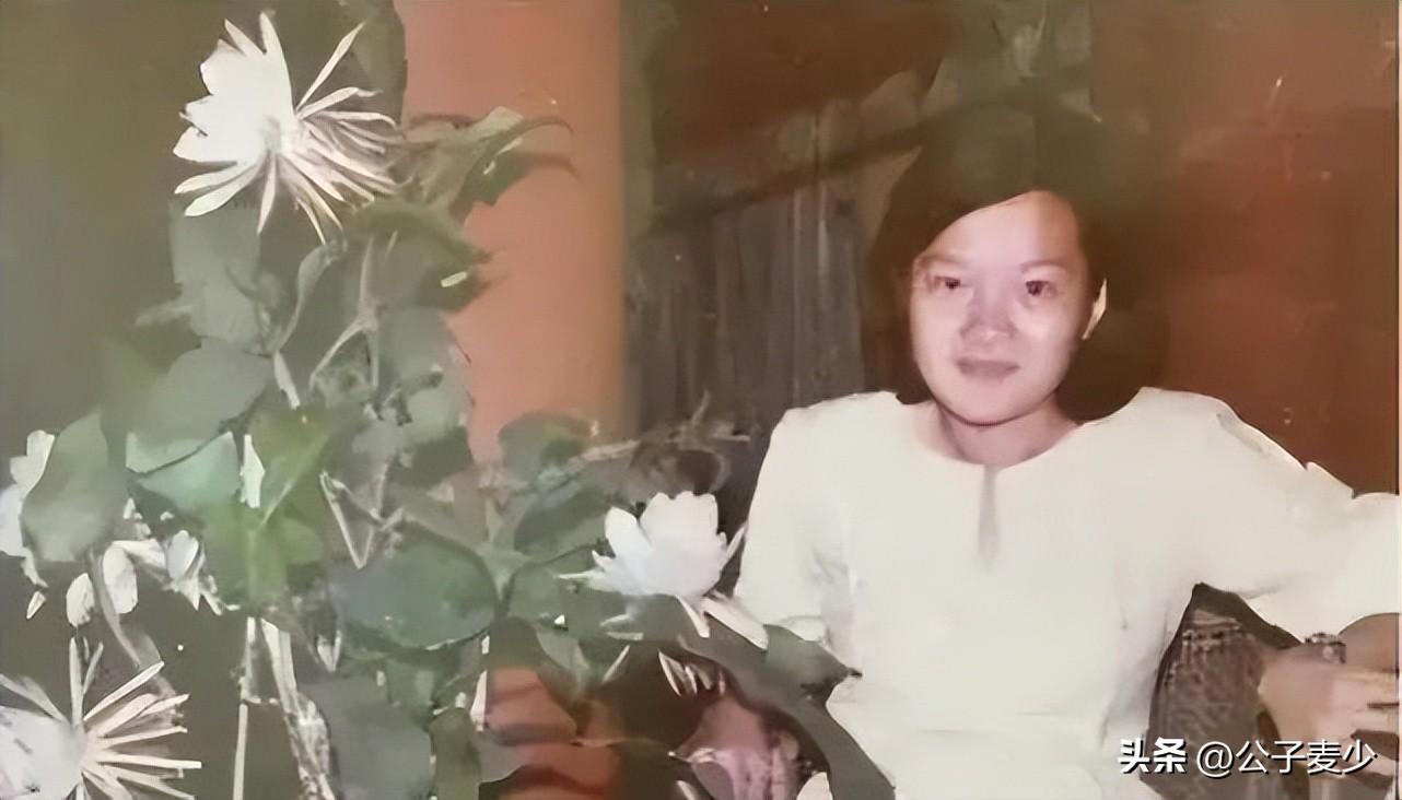 洪晃