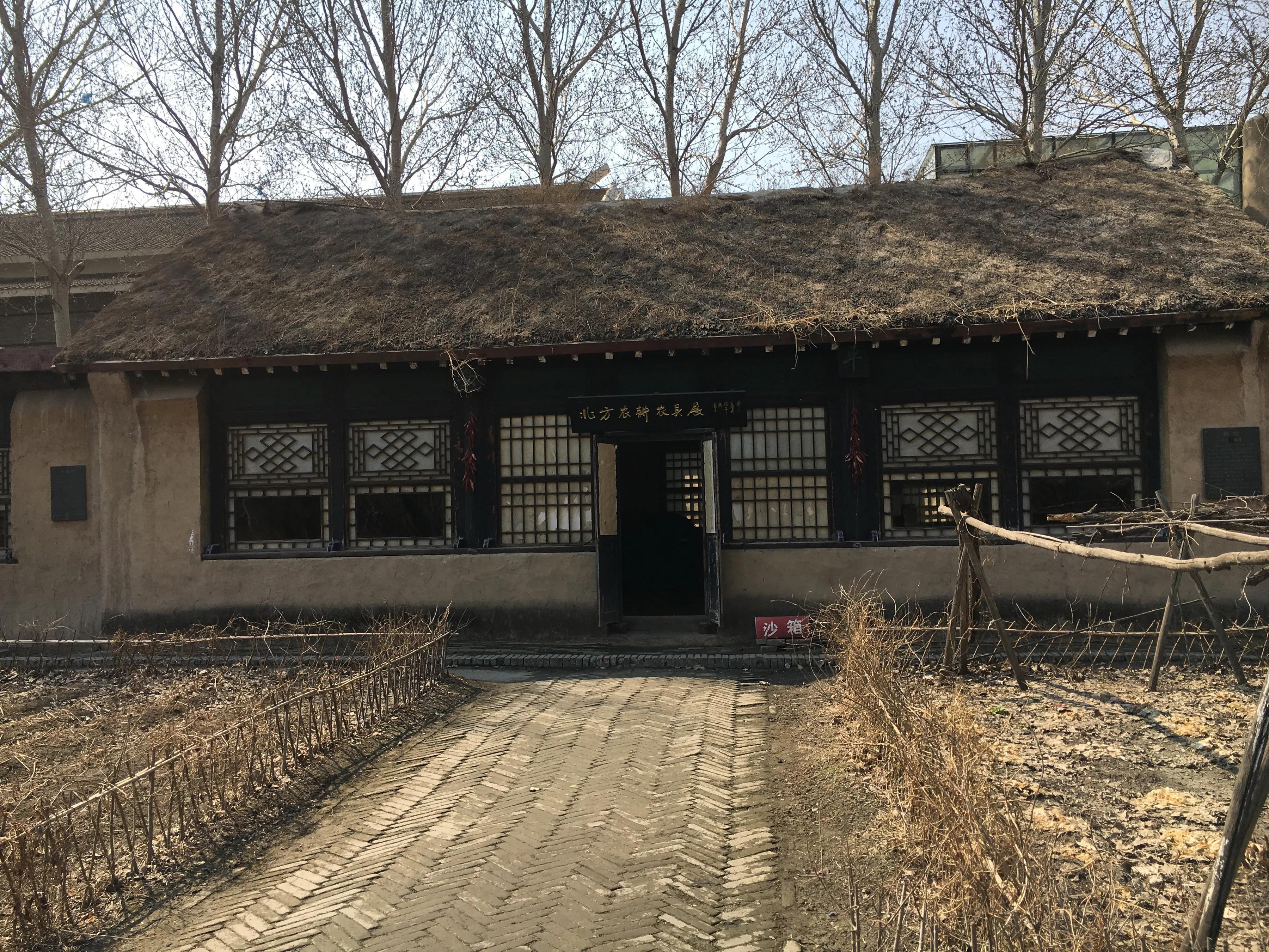 蕭紅