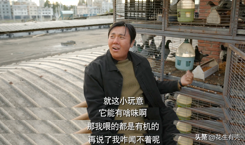 秦昊