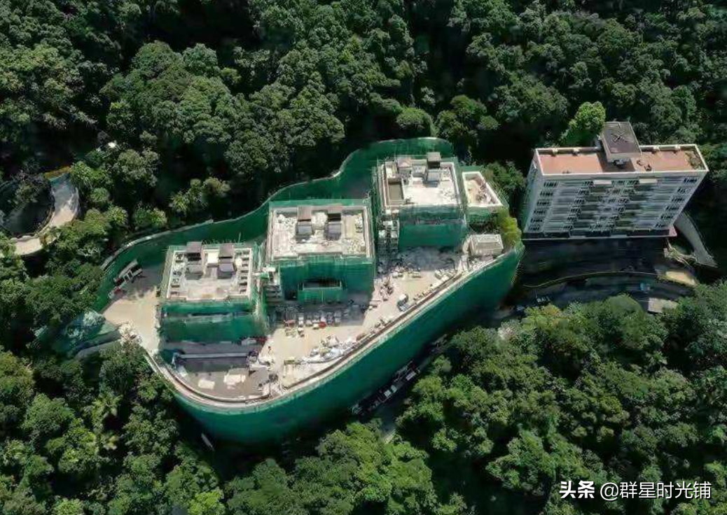 徐子淇