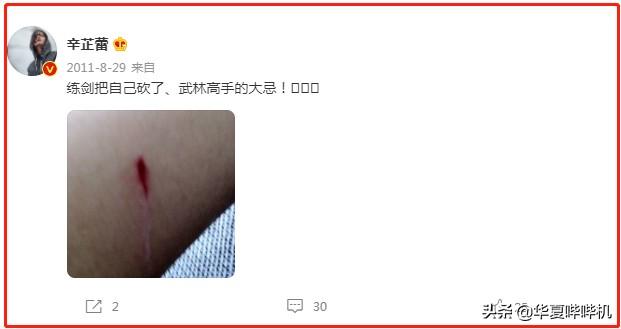 辛芷蕾