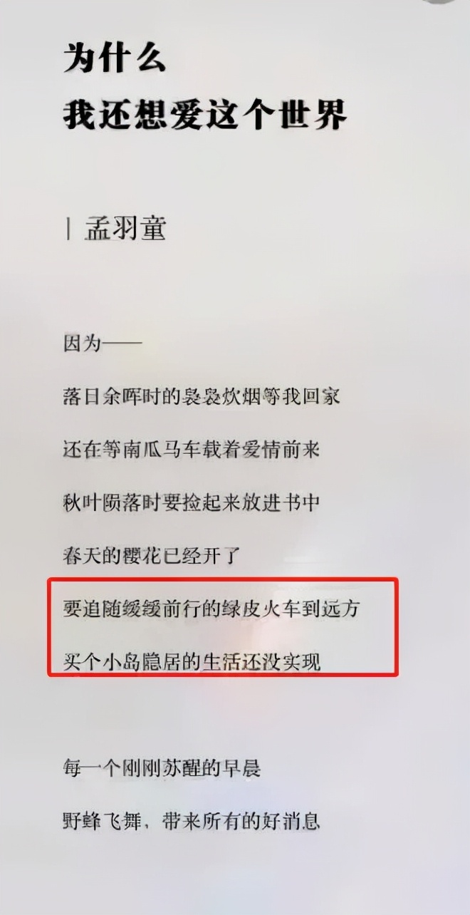 孟羽童