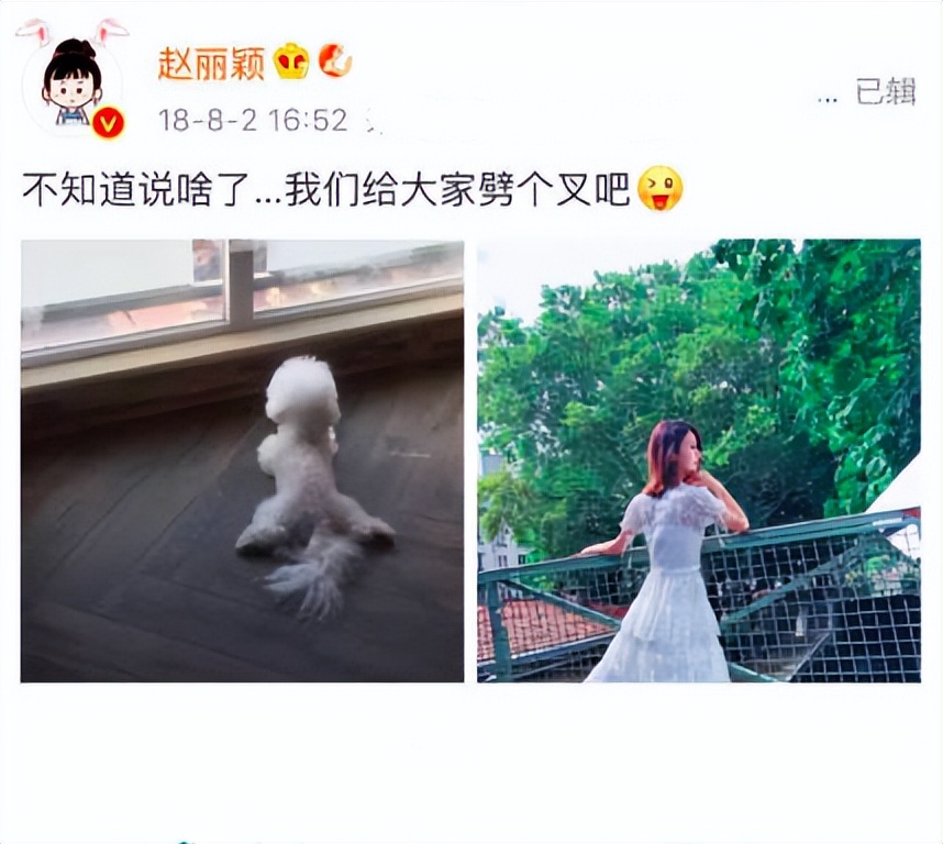 趙麗穎