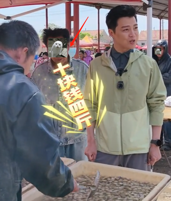 任魯豫