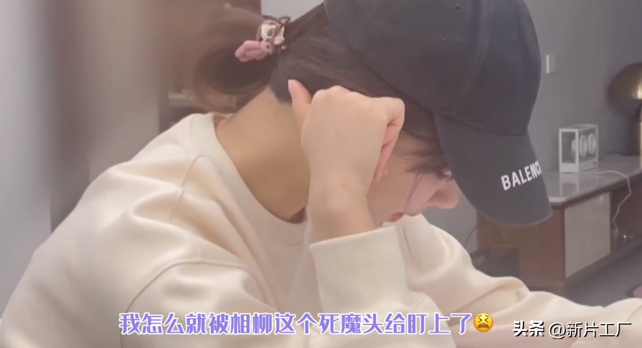 楊紫
