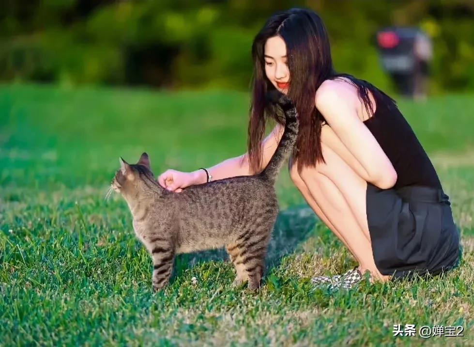向涵之