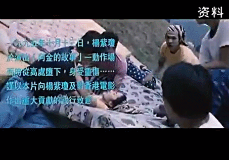 楊紫瓊