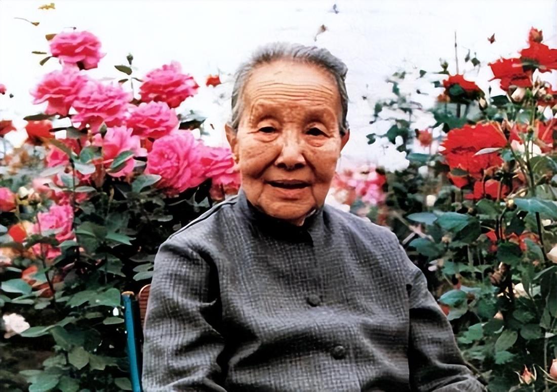 冰心