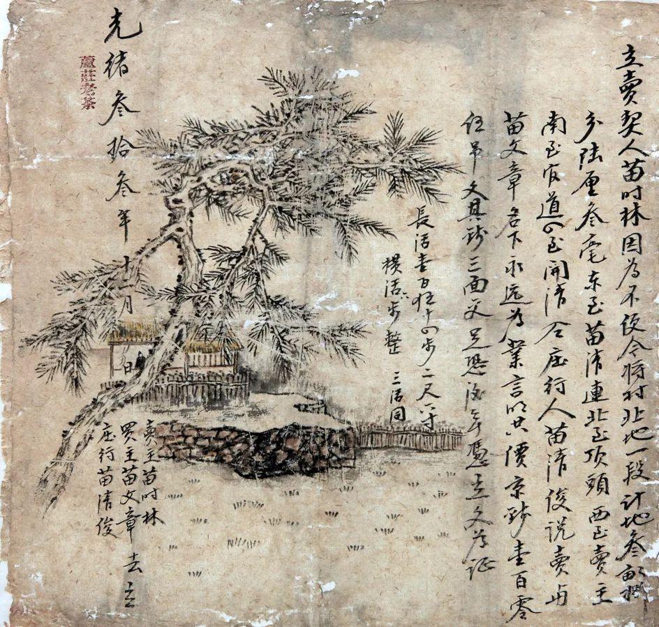 陳冰