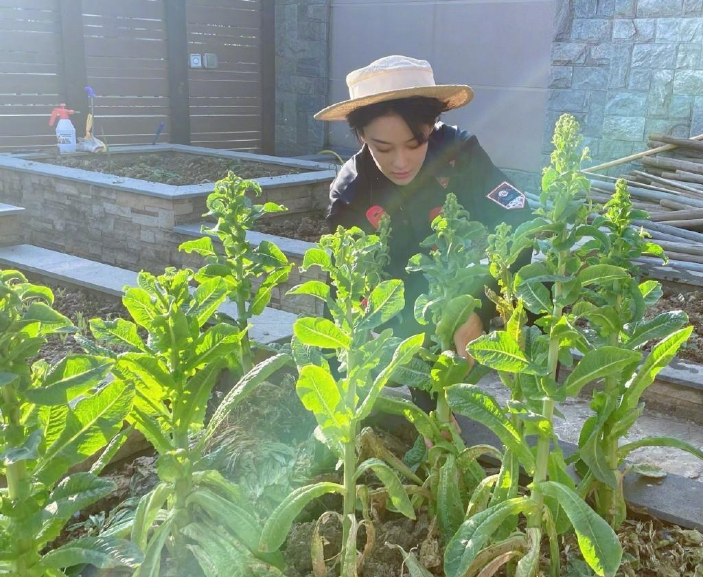張馨予