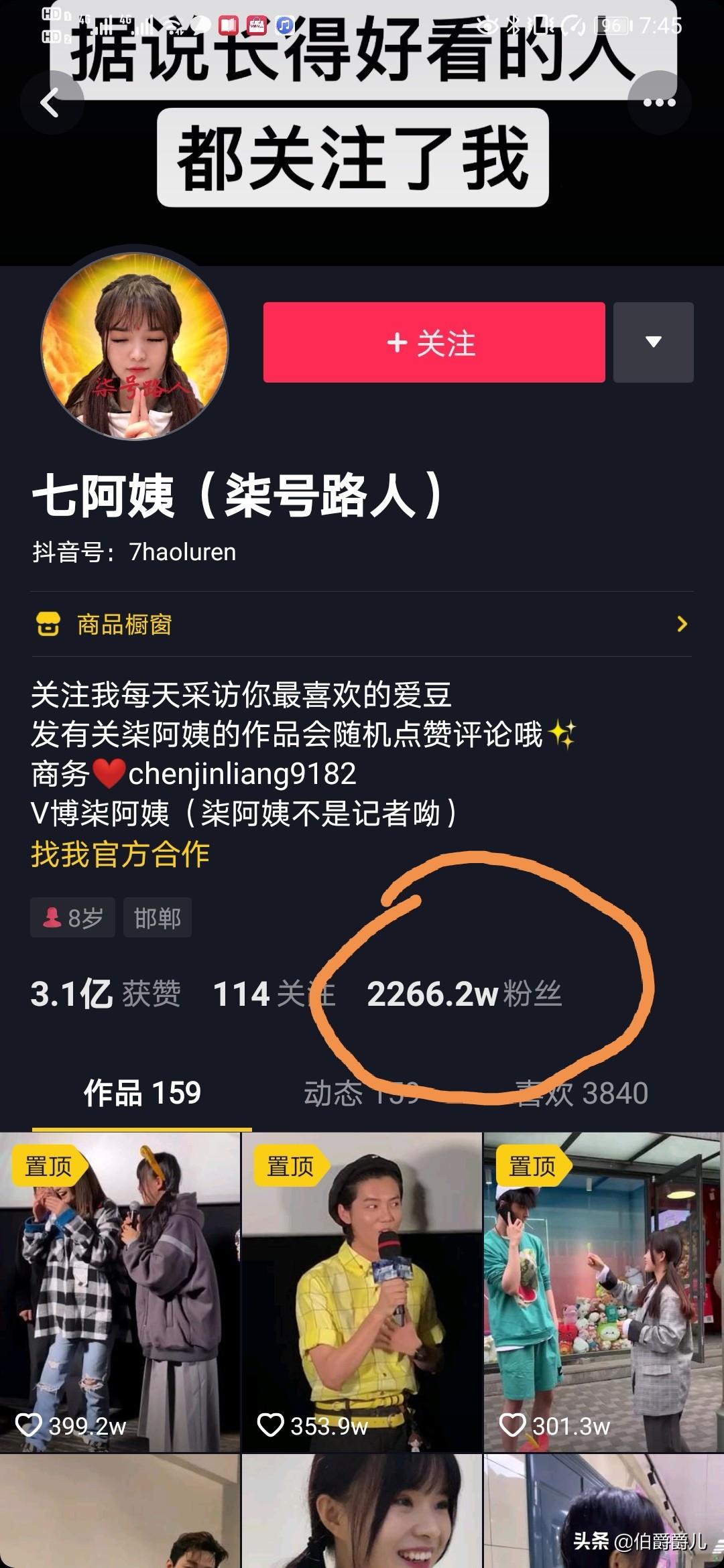 七阿姨