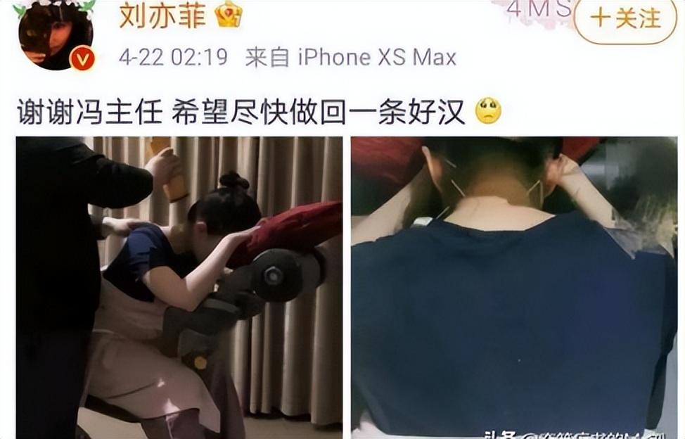 劉亦菲