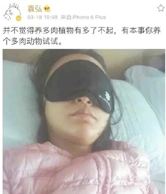 張歆藝