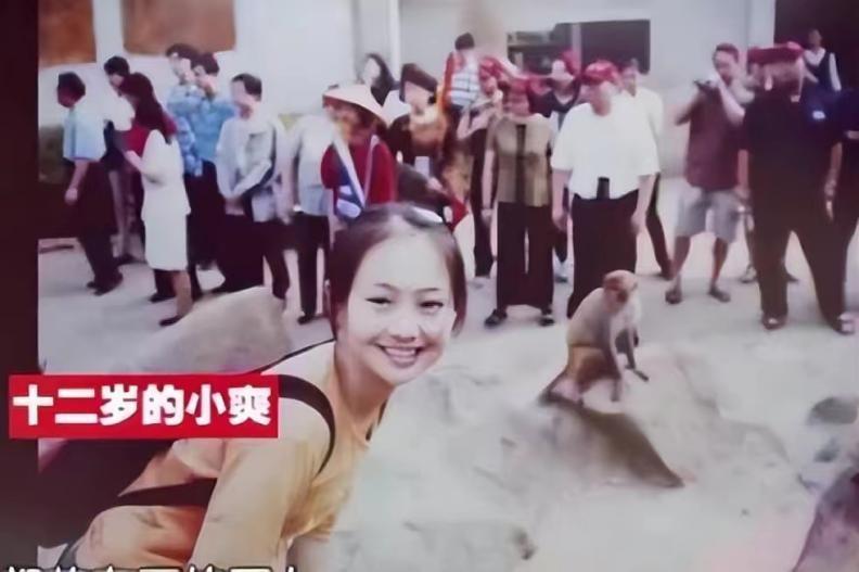 鄭爽