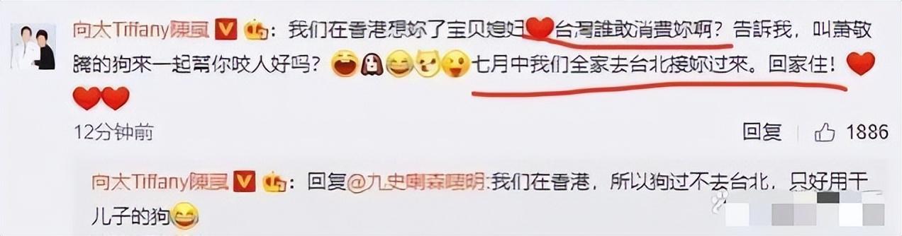 應采兒