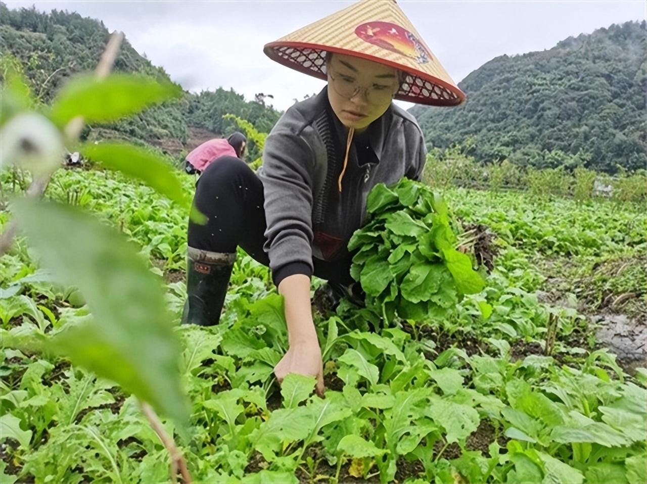 杜富國