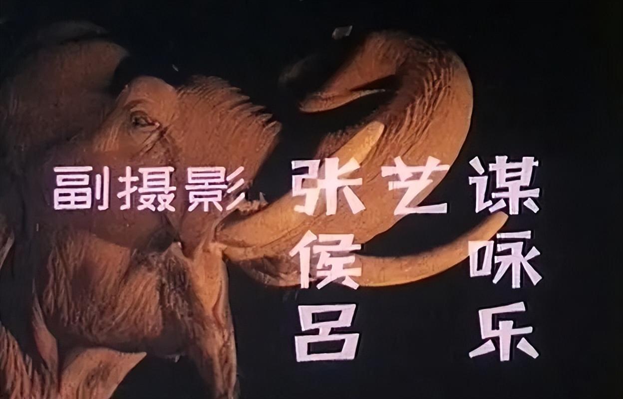 張瑜