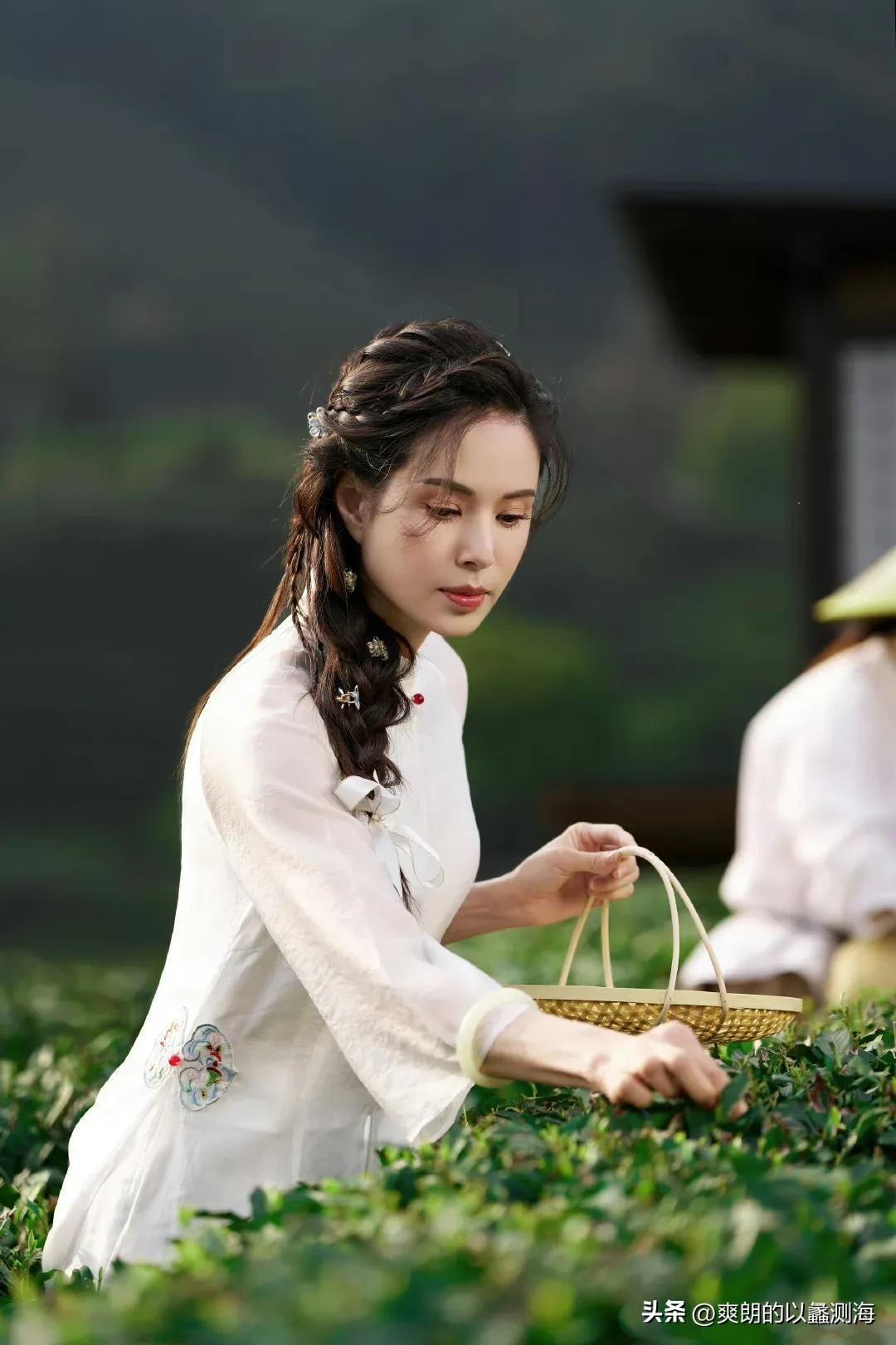 李若彤