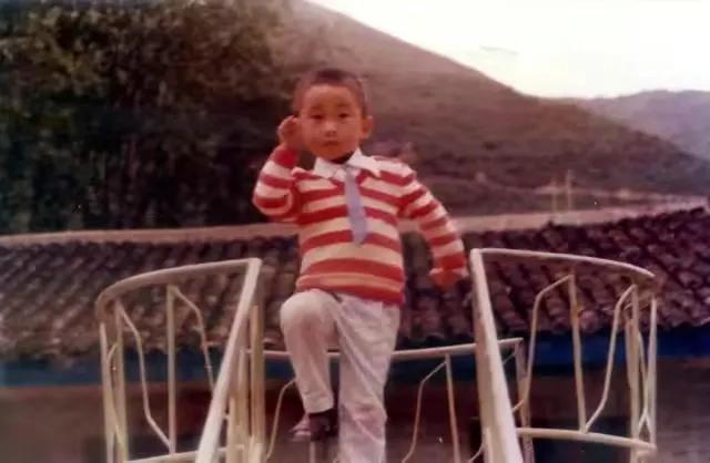 楊迪個人資料簡介 起伏的人生：從遭人嘲笑到“娛樂之光”