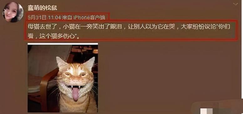 王迅