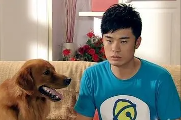 鄭愷