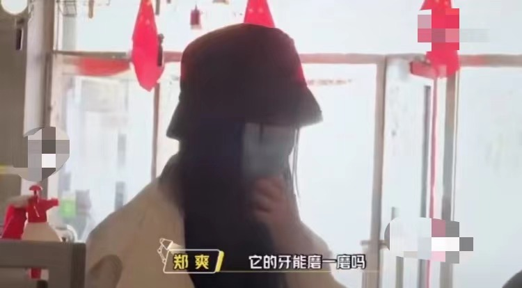 鄭爽