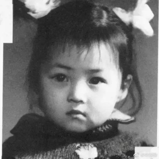 蔣勤勤