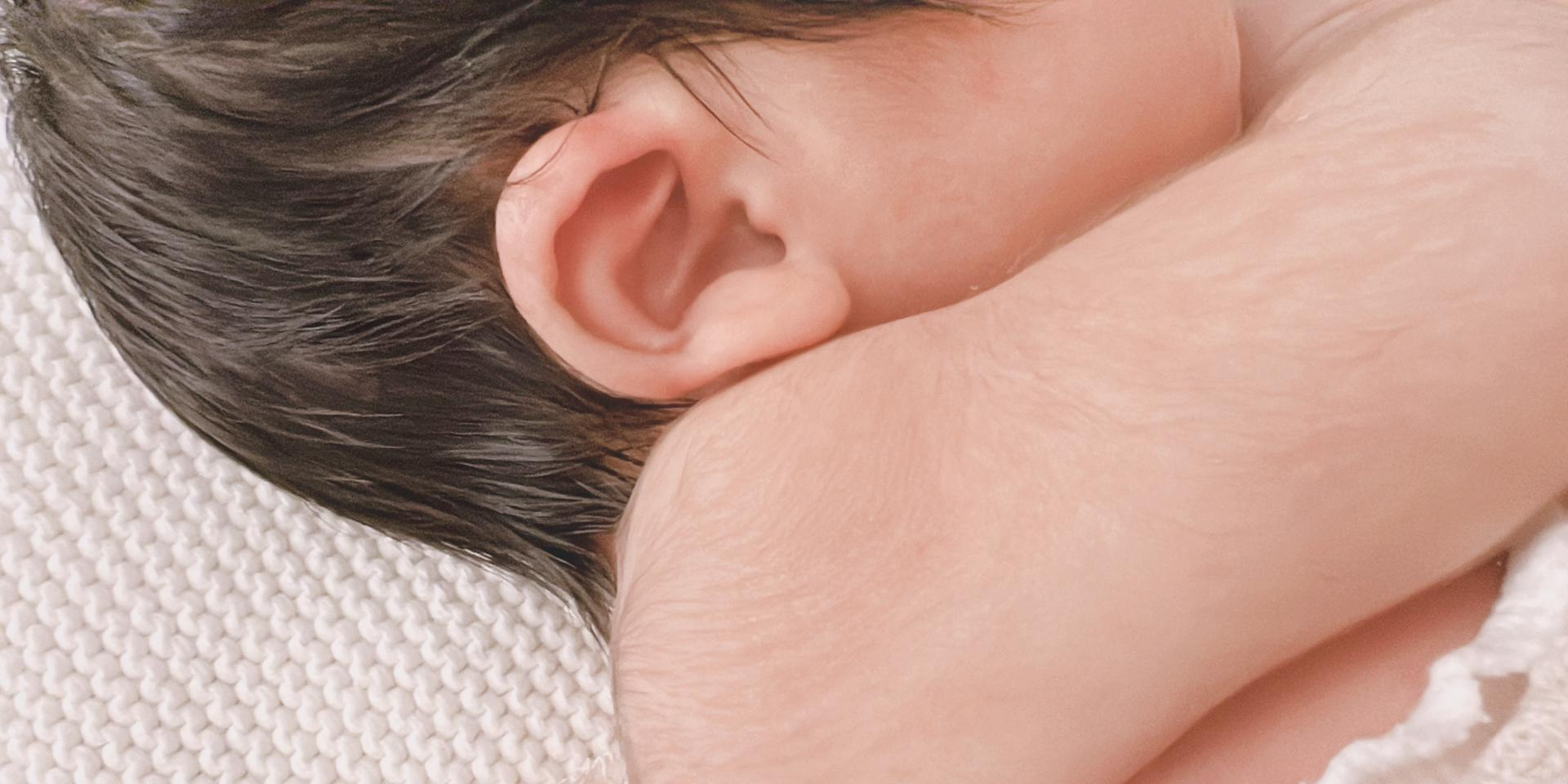 高曉松