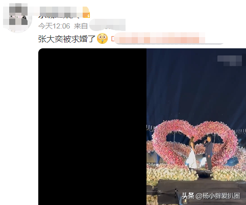 張大奕