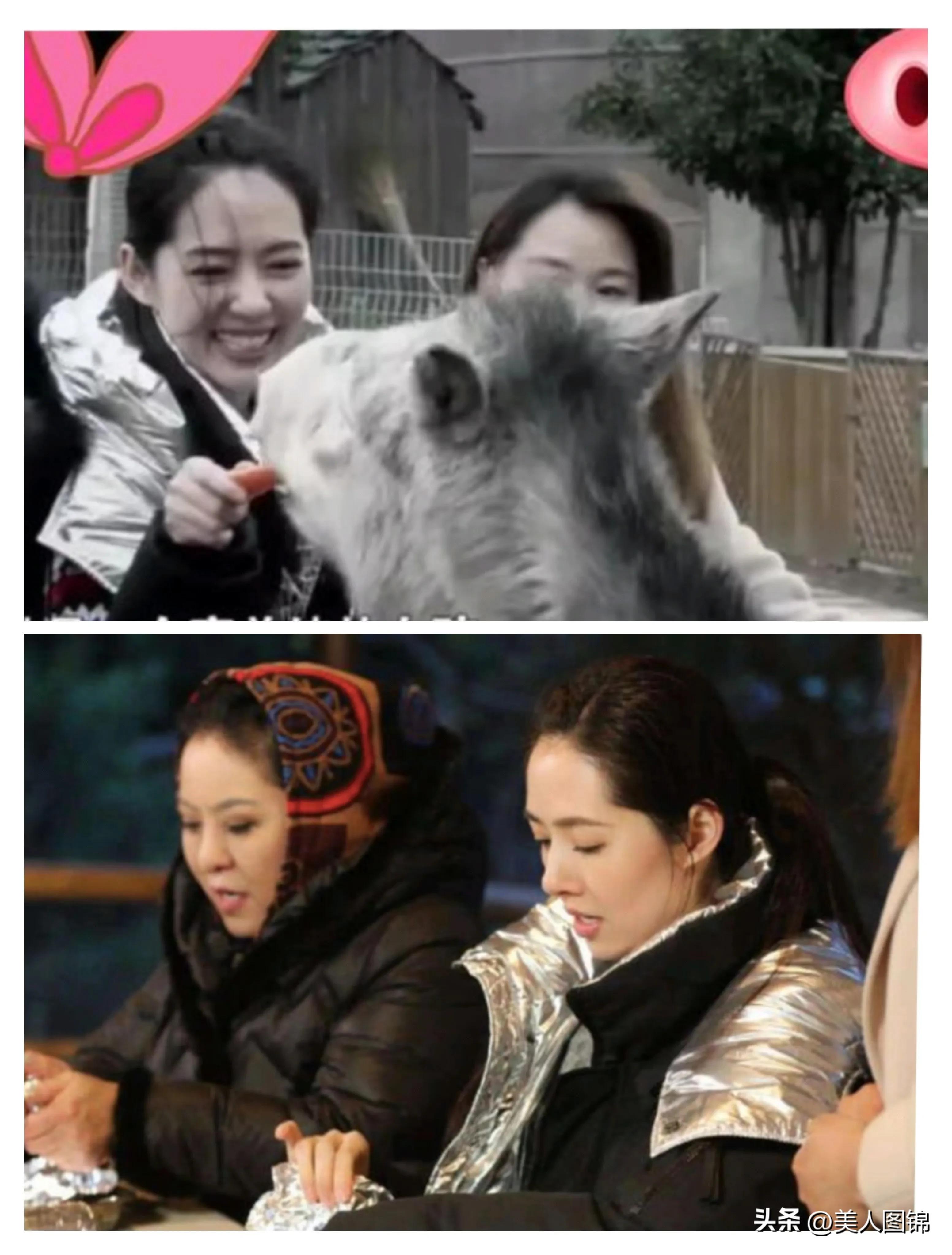 郭碧婷