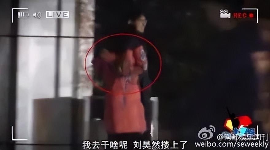 劉昊然