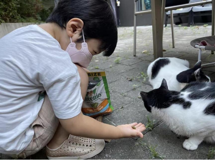 蔡琳